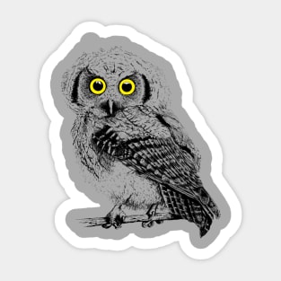 Preety Little Owl Sticker